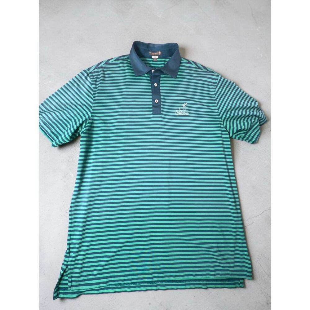 Peter Millar Polo Shirt Mens Large Green Stripe Summer Comfort Sanctuary Golf